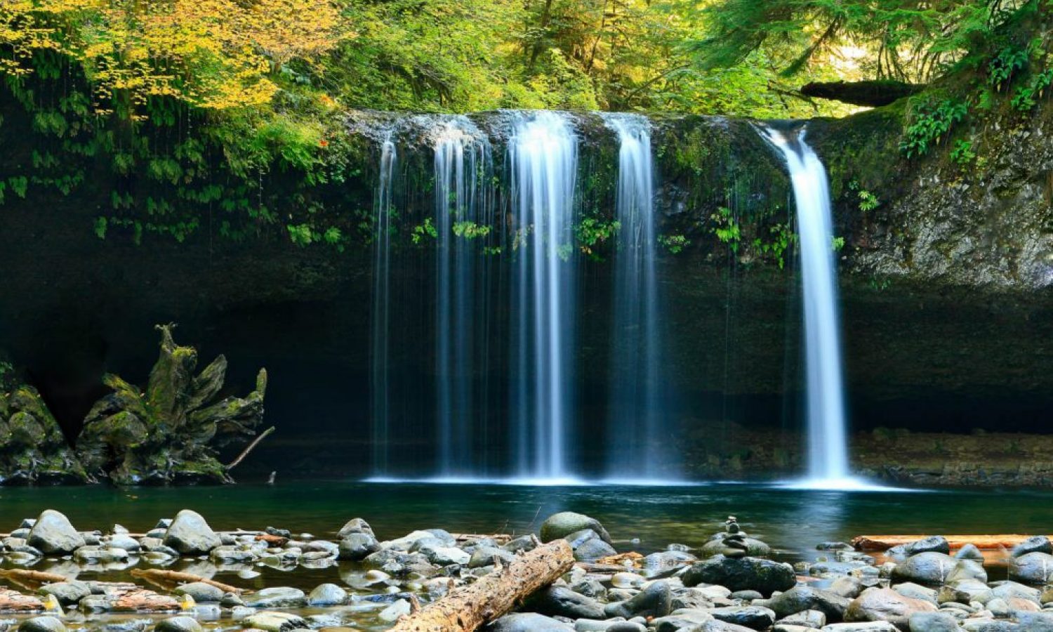 Byron Bay Waterfalls