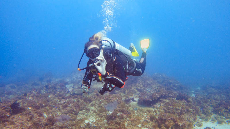 Byron Bay scuba diving